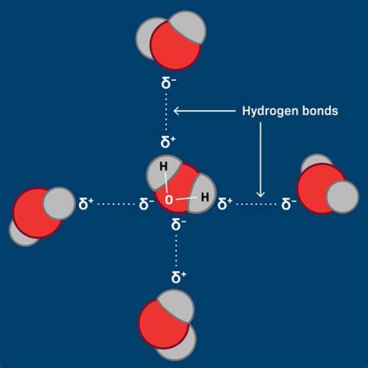 The Dance Between Water and Air Signs: A Celestial Connection